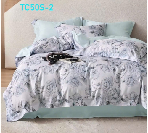 Bộ chăn ga Tencel 50s 2025-2