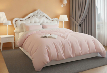 NÊN MUA NỆM LOẠI NÀO CHO GIA ĐÌNH? HƯỚNG DẪN CHỌN NỆM PHÙ HỢP CHO TỪNG THÀNH VIÊN