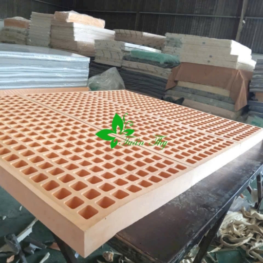 NỆM  CAO SU THIÊN NHIÊN CAO CẤP - 20CM