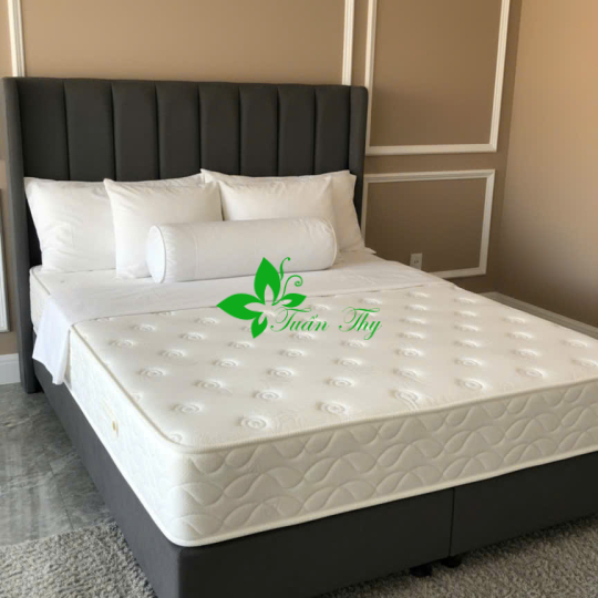 NỆM LÒ XO TÚI  - 25CM 