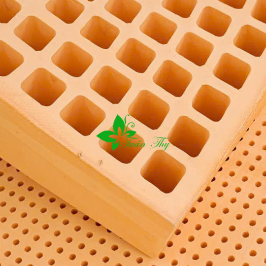 NỆM  CAO SU THIÊN NHIÊN CAO CẤP -  10CM 