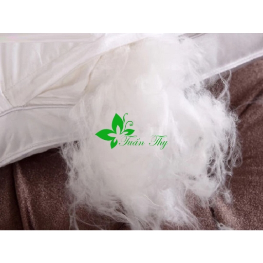 RUỘT GỐI  ĐẦU BÔNG MICROFIBER
