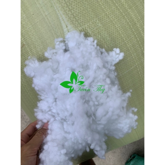 RUỘT GỐI  ĐẦU BÔNG HẠT