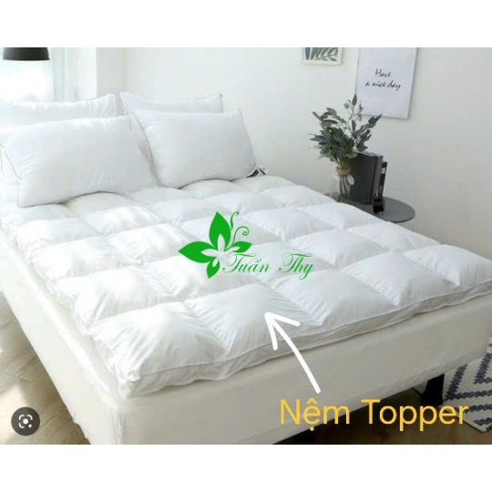 TOPPER TUẤN THY