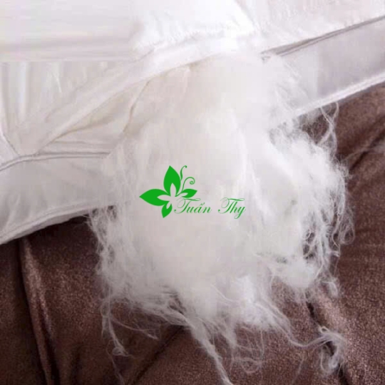 TOPPER TUẤN THY