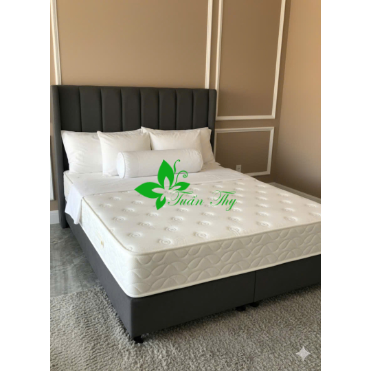 NỆM LÒ XO TÚI  - 25CM 